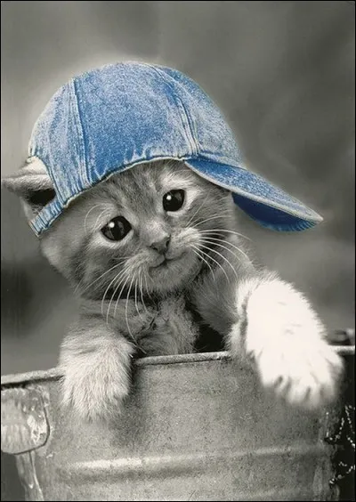 Si parmi mes propositions, j'ai ins&eacute;r&eacute; quelques pi&egrave;ges :