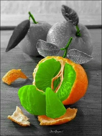 Une petite mandarine ne sait pas comment annoncer &agrave; sa m&egrave;re qu'elle est tomb&eacute;e enceinte. Que lui dit-elle ?