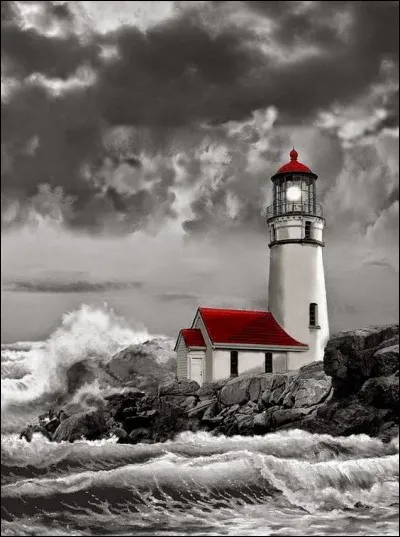 Dans les ann&eacute;es 70, qui chantait "La France, elle m'a laiss&eacute; tomber" ?