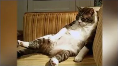 Dormirais-tu beaucoup ?