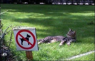 Es-ce que tu embêterais le chien du voisin ?