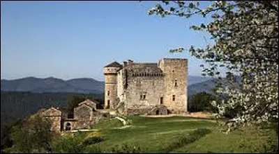Je vous propose de partir en Occitanie à la découverte du château du Cheylard-d'Aujac, à Aujac. Commune de l'agglomération d'Alès, elle se situe dans le département ...