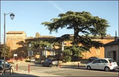 Ville de la métropole Toulousaine, Aussonne se situe en région et dans le département ...