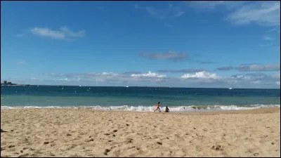 Quelle activité préfères-tu ?