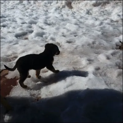 Dans quel pays préfères-tu aller ?