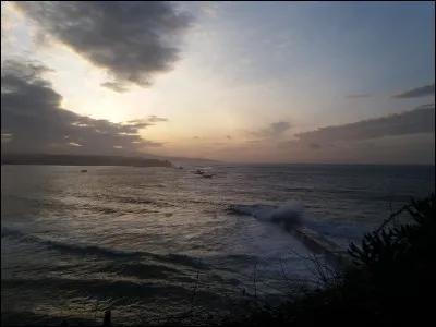 Quelle saison préfères-tu ?