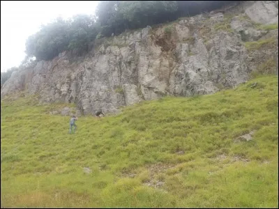 Quelle est ta couleur préférée ?