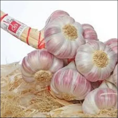 Plusieurs plantes ont reçu le label IGP (indication géographique protégé) pour l'ail comme celle cultivée dans le Tarn...