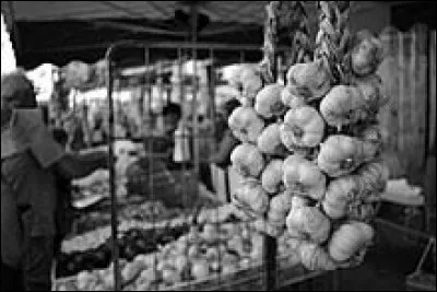 L'ail est utilisé traditionnellement pour ses propriétés...