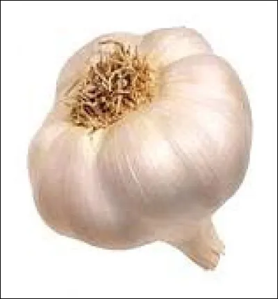 L'ail est utilisé sous différentes formes : frais, déshydraté, mais aussi sous d'autres formes comme...