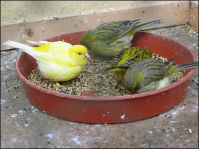 Quel est le point culminant de l'Espagne ?