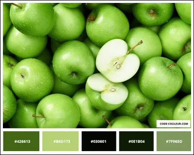 Quelle est ta couleur préférée ?