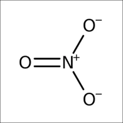 Qu'appelle-t-on les NO3 ?