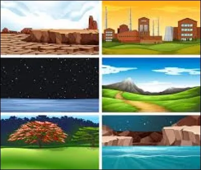 Que veut dire "the setting" ?