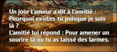 De qui ne doit-on pas dire du mal parce que les amis s'en chargent généralement bien assez !?