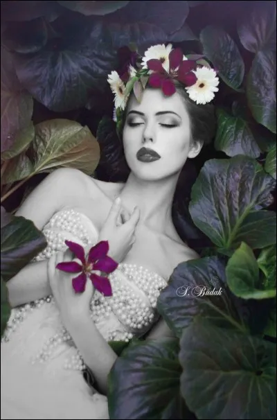 Paroles de Cat Stevens, à traduire : "I loved you my lady, and in your grave you lie" :