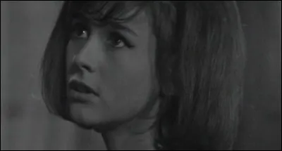 A quelle autre chanteuse des années 60 pourrait-on la comparer (par rapport à sa carrière etc...) ?