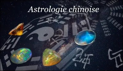 Combien y a-t-il de signes astrologiques chinois ?