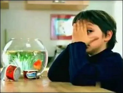 Dans la pub pour Nestlé quel nom le petit garçon donne-t-il au poisson rouge ?