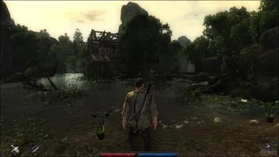 De quel jeu provient cette image ?