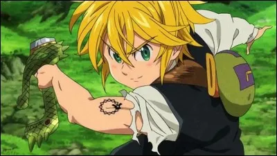 Pourquoi Meliodas ne se bat jamais avec une véritable épée ?