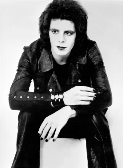 Quelle chanteuse a repris ''Walk on the Wild Side'' de Lou Reed en 1990 sur un album où figurait aussi ''Tandem'' ?