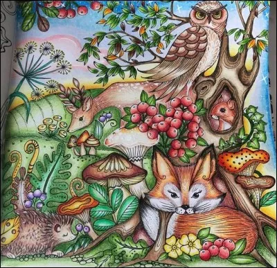 Où rencontre-t-on Goupix ? (Photo décorative)