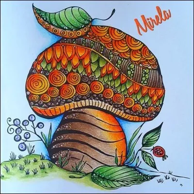 Que trouve-t-on sous le chapeau d'un bolet ou d'un cèpe ?