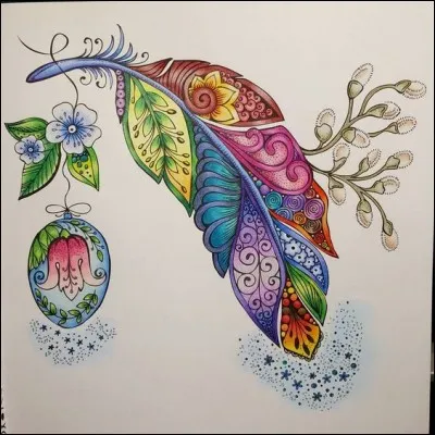 De quelle couleur est l'eider, dont les plumes et duvets sont très recherchés pour le rembourrage des édredons et vêtements d'hiver ?