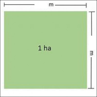 Combien y a-t-il de mètres carrés dans un hectare ?