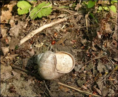 Préparation à l'amour, c'est l'...