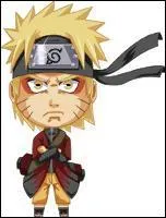 Quel personnage reprsente ce chibi ?