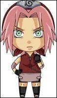 Quel personnage reprsente ce chibi ?