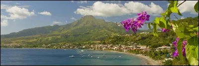 "Willy et le lac gel&eacute;" est un film d'animation produit par les studios Disney.