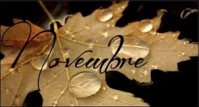 Le mois de novembre possède 31 jours.