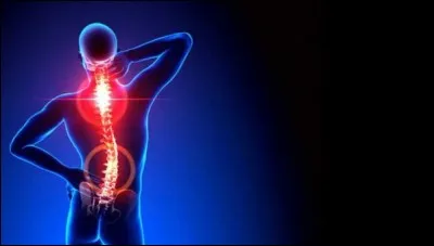 Les troubles musculo-squelettiques sont des maladies qui atteignent les os et les muscles :