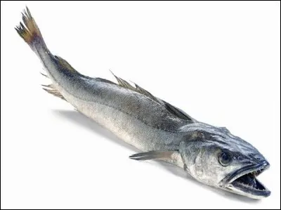 Quel est l'autre nom du merlu ?