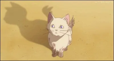 Et enfin... Quel nom donnerais-tu à ton chaton gris clair aux yeux vert clair ?