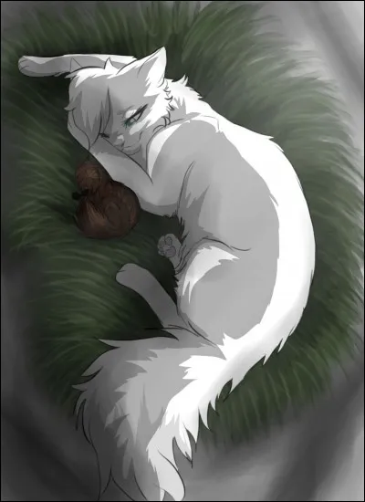 Tu aimes un(e) chat(te) en secret. Espères-tu avoir des chatons avec lui/elle ?