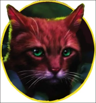 Quel pelage aurais-tu ?