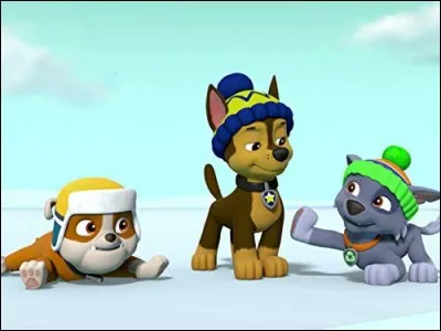 &Agrave; quel temps le verbe "d&eacute;ranger" est-il conjugu&eacute; dans ''tu auras d&eacute;rang&eacute;" ?