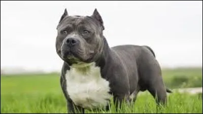 Woowww! Il ne faut pas le croiser celui-là !