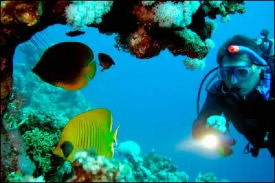 Quelle mer sépare l'Afrique de la péninsule arabique ?