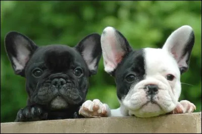 Allez, une dernière !