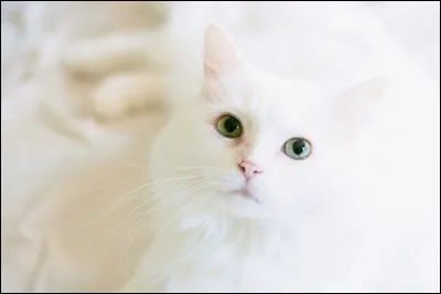 En quelle saison es-tu n&eacute; ?