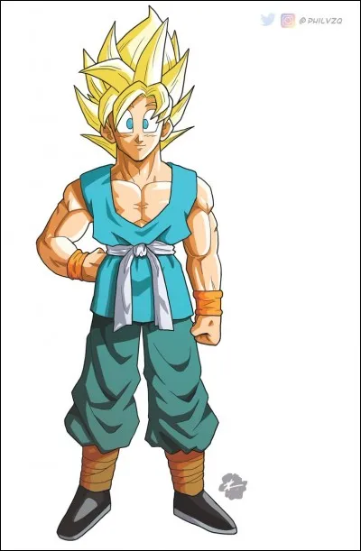 Qui Goku entra&icirc;ne-t-il &agrave; la fin des DBZ ?
