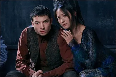 Quel personnage de la saga Harry Potter préfères-tu ?