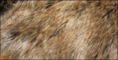 Tu préférerais que ta fourrure soit...