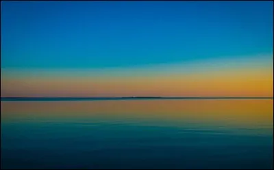 Le lac Tchany (en Sibérie du sud) abrite une foultitude d'oiseaux rares. Lequel est le plus rare (parce qu'il n'existe PAS) ?