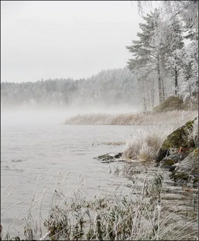 Ce lac est réputé pour être le plus vaste d'Europe. Mais qu'y trouve-t-on, spécifiquement ? Et quel est son nom ?